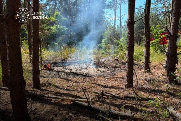 На Волині покарали палійку сухої рослинності