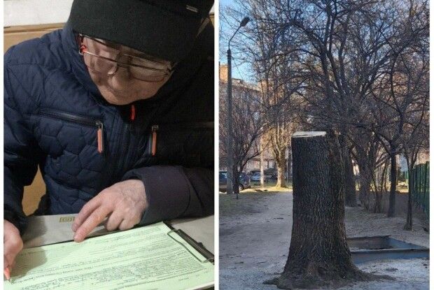У Луцьку оштрафували чоловіка за зрізане дерево