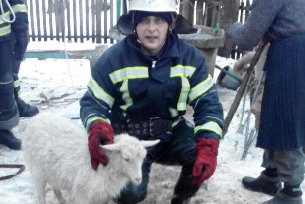 Рятувальники визволили з глибокої криниці козеня (фото)