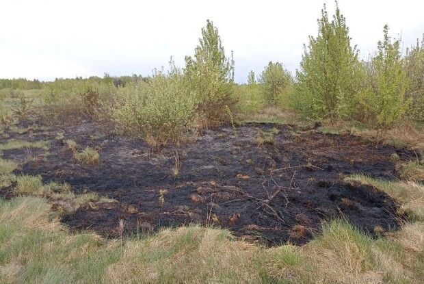 На Волині упіймали 28-річного палія трави