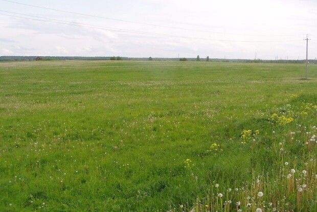 На Волині в підприємця забрали 10 гектарів землі