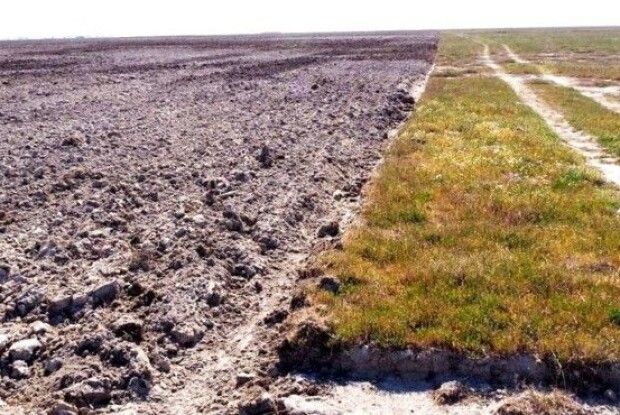 Агрокомпанія знищила майже 400 га унікального ландшафту