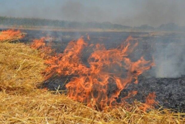 На Горохівщині горіла стерня