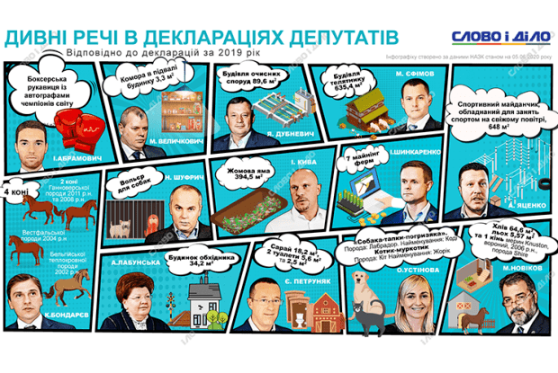 Нардепка задекларувала «котика–муркотика»