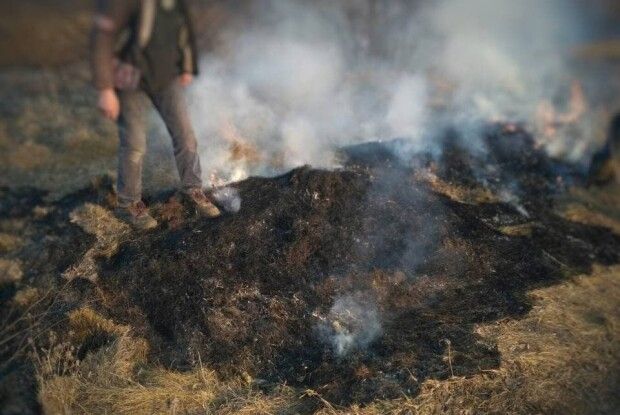 Оштрафували чоловіка, через якого під Луцьком вигоріло 10 соток сухої трави