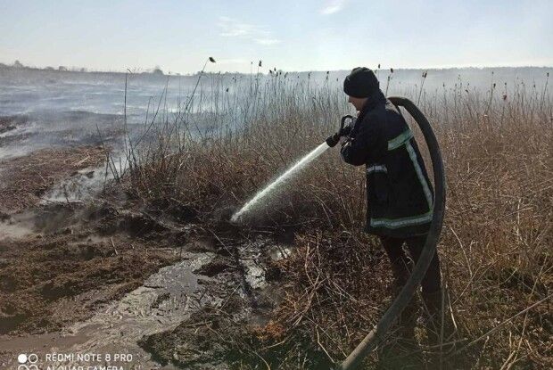 За тиждень на Волині загасили 41 пожежу в екосистемах