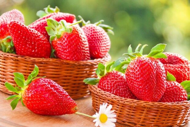 В Ізраїлі виростили найважчу в світі полуницю