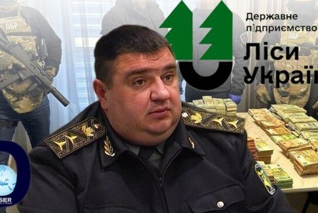 «Через Миколайовича полетіли голови»: на Рівненщині звільнено  усіх керівників лісгоспів