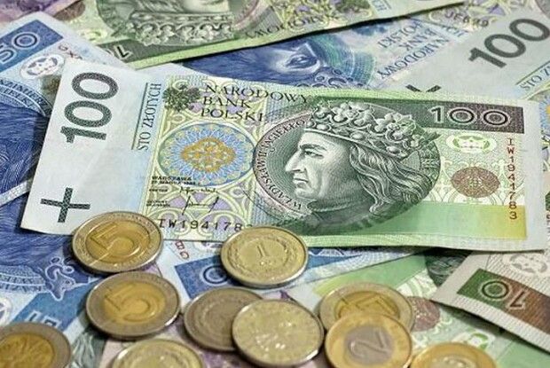 На «Ягодині» знайшли незадекларовану готівку