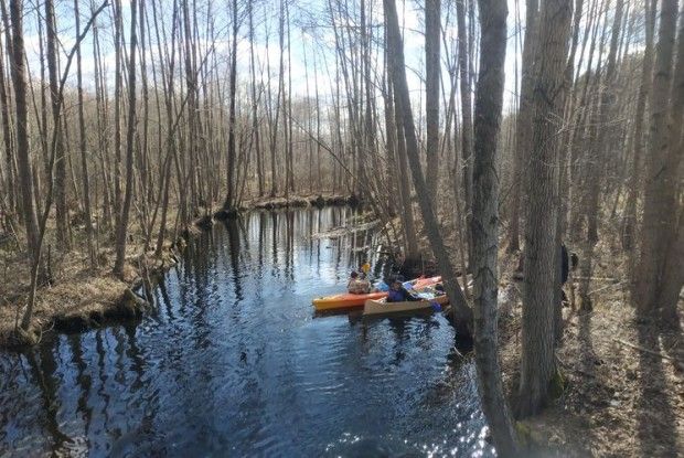 Стохід і Бистриця стали чистішими
