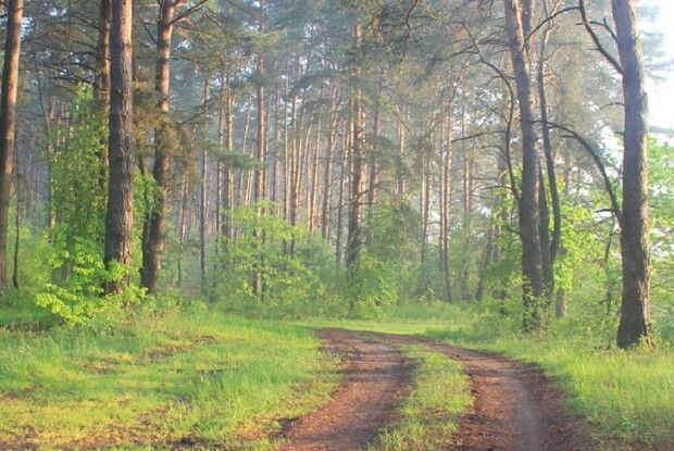 Два дні життя – в умовах дикої природи