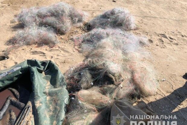 Браконьєри виловили більше 3 тисяч рибин кефалі (Фото)