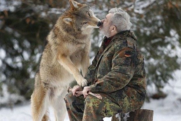 А якого вовка ти годуєш?