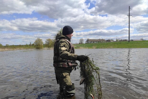 У період нересту на Волині браконьєри ловили рибу сітками та острогами