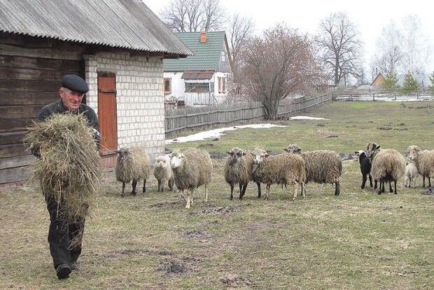 85-річний господар разом  із сім’єю обробляє до 20 гектарів поля і… не засинає без «Волині»