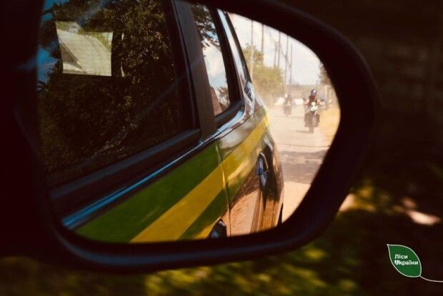 На Волині зловили крадіїв лісу