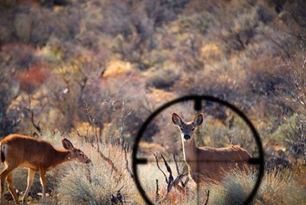 На Ковельщині виявили факт браконьєрства (Фото)