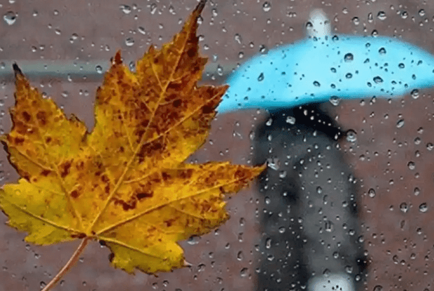 Прогноз погоди до кінця тижня на Волині