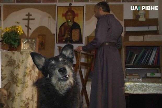 У Рівному єпископ однієї з громад тримає у храмі собак