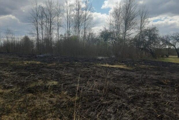 На Волині офіцер громади знайшов жінку, яка підпалила сухостій