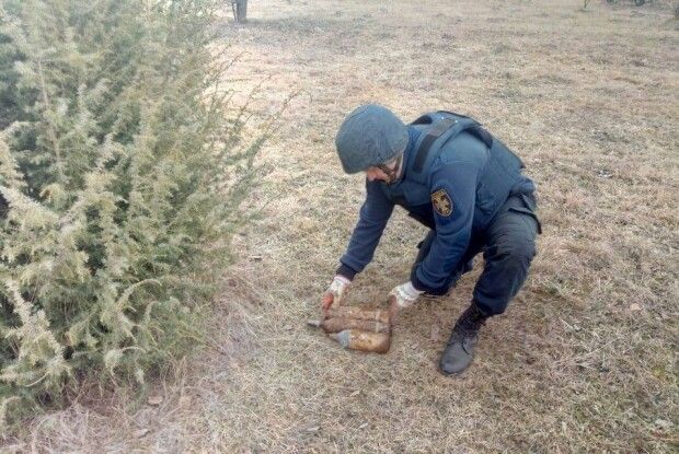 У лісі під час збирання грибів волиняни знайшли 11 боєприпасів часів минулої війни (Фото)