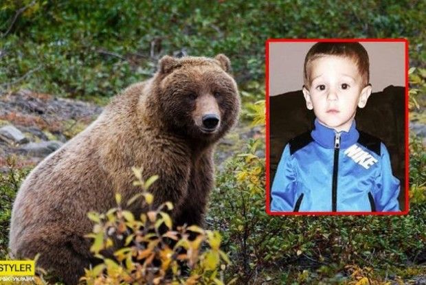 Загубленого у лісі 3-річного хлопчика врятував ведмідь