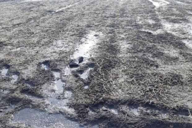 На Рівненщині безвісти зниклого чоловіка знайшли мертвим у полі