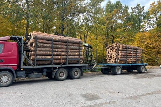 На Сарненщині поліцейські викрили прикарпатця на незаконному перевезенні деревини 