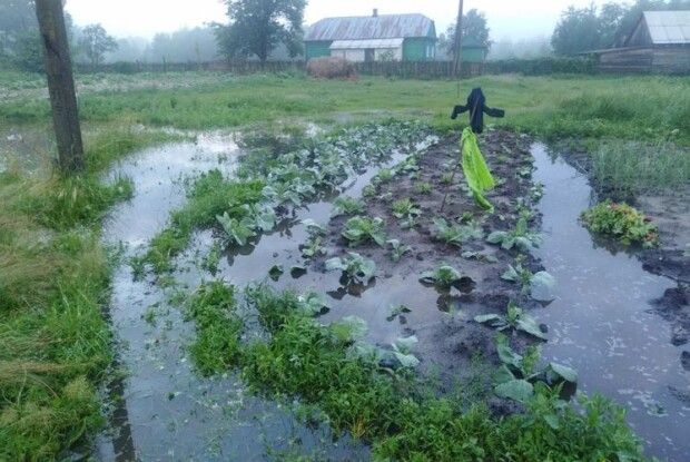 Світязь вже не лякає катастрофічним обмілінням, зате городи поліщуків перетворилися на озера...