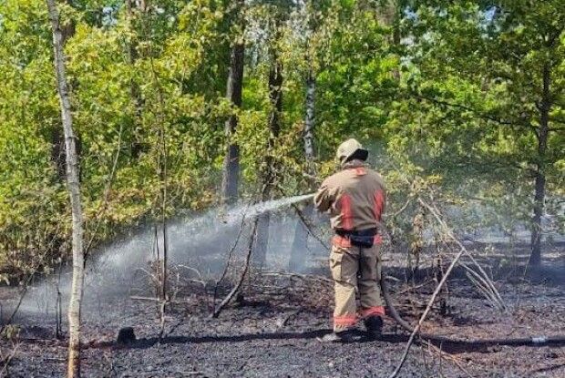 На Волині невідомі підпалили сухотрав'я та чагарники