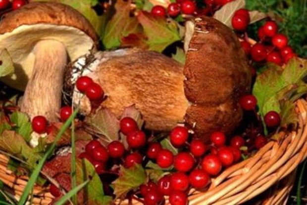 І люди заробили, і бюджет збагатився