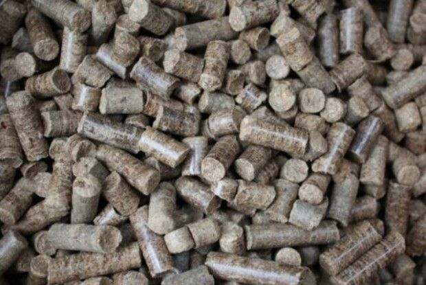 Нові плани Гнідавського цукрового заводу