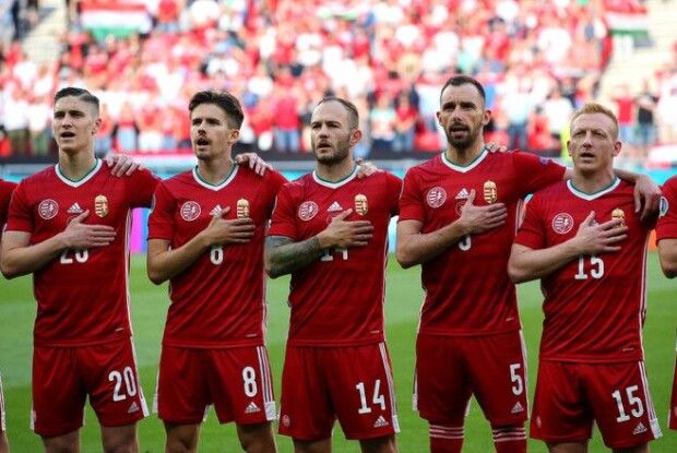 Кріль з розвиненим відчуттям інтуїції здувавав своїм прогнозом на матч Німеччина - Угорщина (Відео, анонс, прогноз)