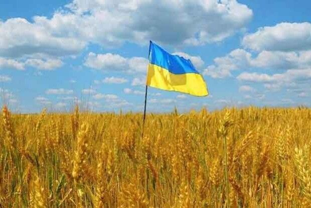 Прокурори на Волині наполягають на поверненні державі 166 га земель оборони