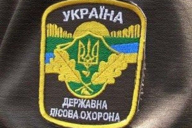 На Волині лісопорушник потрапив у «фотопастку»