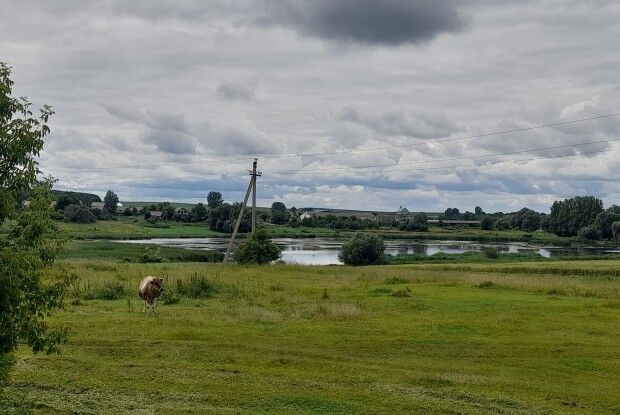 У громаді на Волині навели лад на старому польському цвинтарі