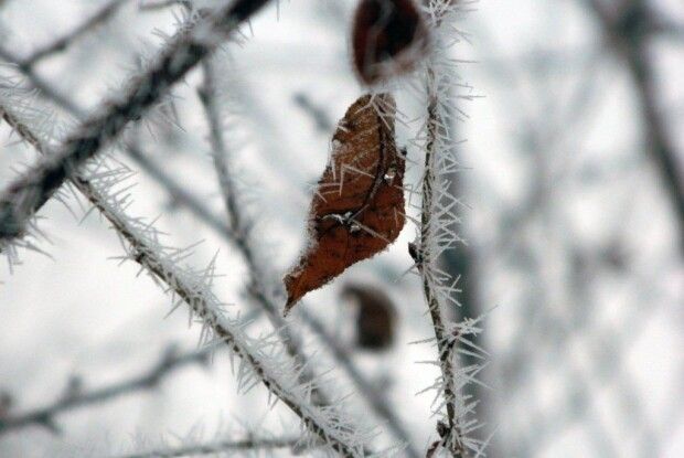 Коли температура в Україні вдень знизиться до нуля