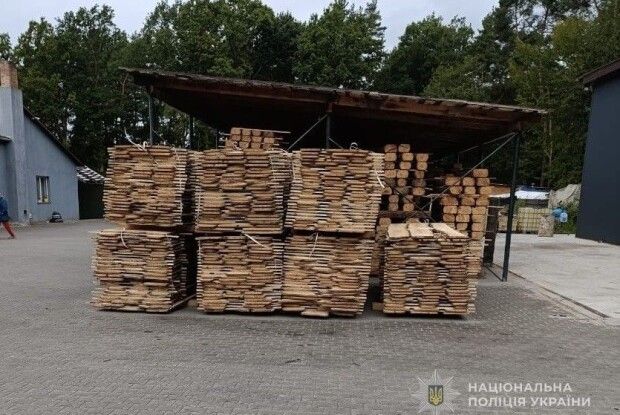 «Чорні лісоруби» з власними пилорамами «зрубали» собі вирок