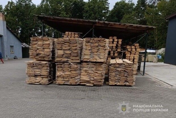 У Луцькому районі затримали банду чорних лісорубів