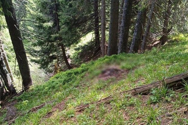 У горах на Закарпатті поблизу кордону виявили тіло чоловіка