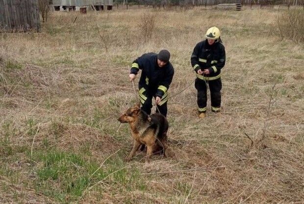 На Волині рятувальники витягнули з бетонної пастки собаку (Фото, Відео)