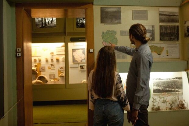 Сьогодні Волинський краєзнавчий музей святкує свій День народження