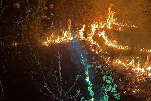 На Волині за добу вигоріло 24 гектарів сухостою: рятувальники ліквідували 17 пожеж