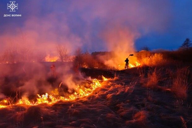 На Волині упіймали трьох паліїв сухої трави