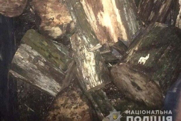На Рівненщині поліцейські відібрали у чоловіка дубові дрова