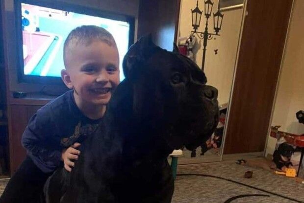 Пес-воїн відгриз собі лапу, щоб не лишитися у полоні бойовиків