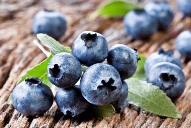 На Волині фермери активно розширюють площі під лохиною