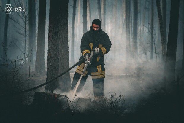 На Волині загорівся ліс, суха трава і чагарники