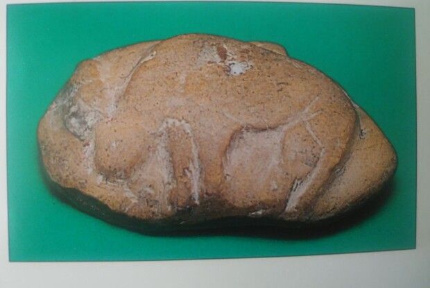 У колишній райцентр на Волині з’їхалися науковці, щоб побачити зображення оленя на камені з 18–13 тис. до н.е. 