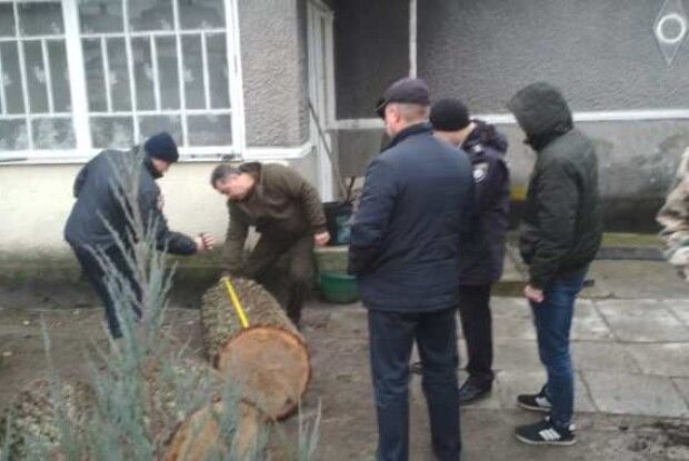 Крадені дуби знайшли у приватному дворі в Цумані